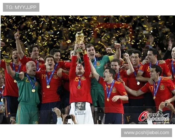 历届世界杯冠军排名全景图，深入分析各届冠军的排名变化与历史背景