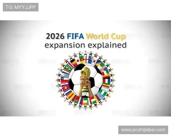 2026年世界杯主办国的安全保障措施与应急管理体系详解