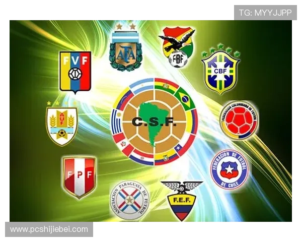 世界杯南美洲区预选赛几个名额详细解析及最新分配方案介绍