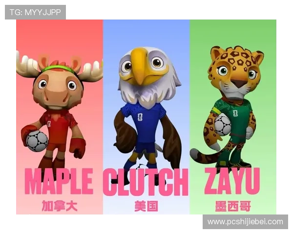 美加墨世界杯48支球队整容引发的公众关注与足球运动形象重塑探讨